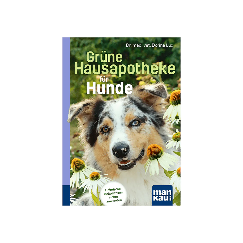 Vorschaubild 1