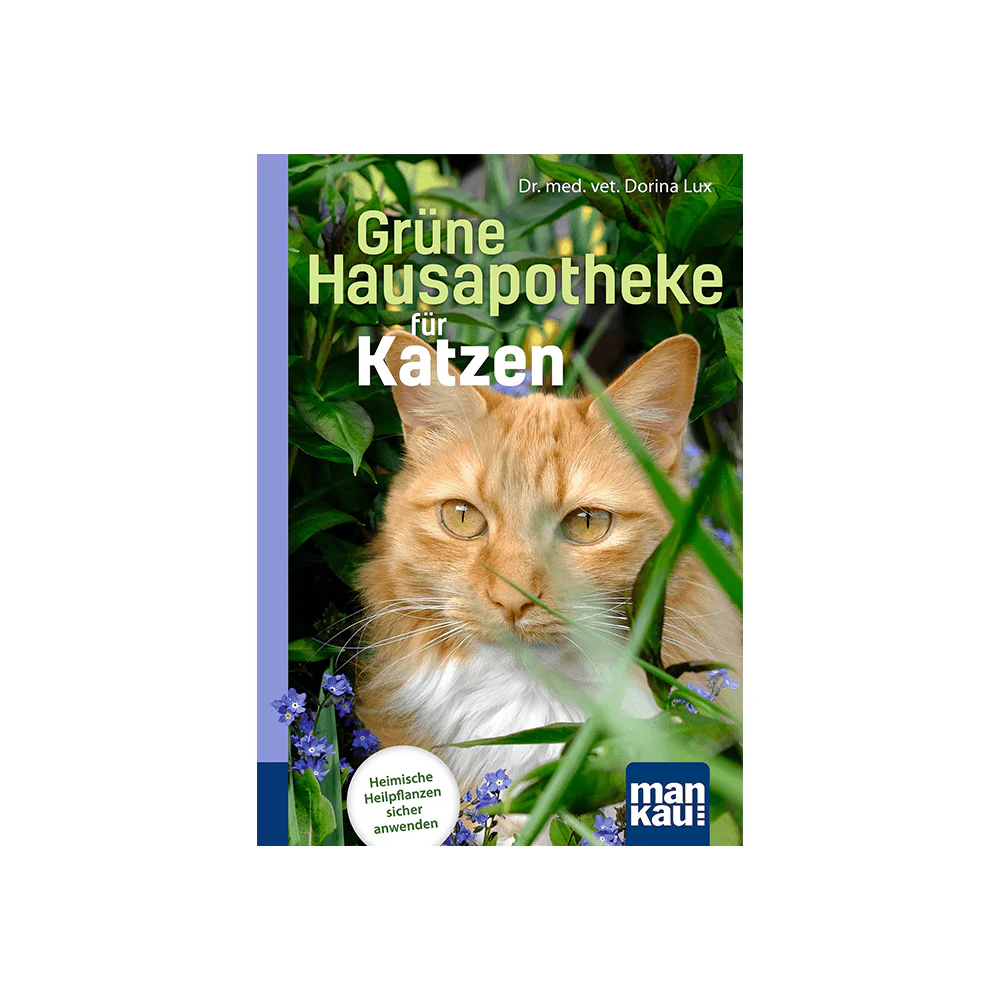 Vorschaubild 1